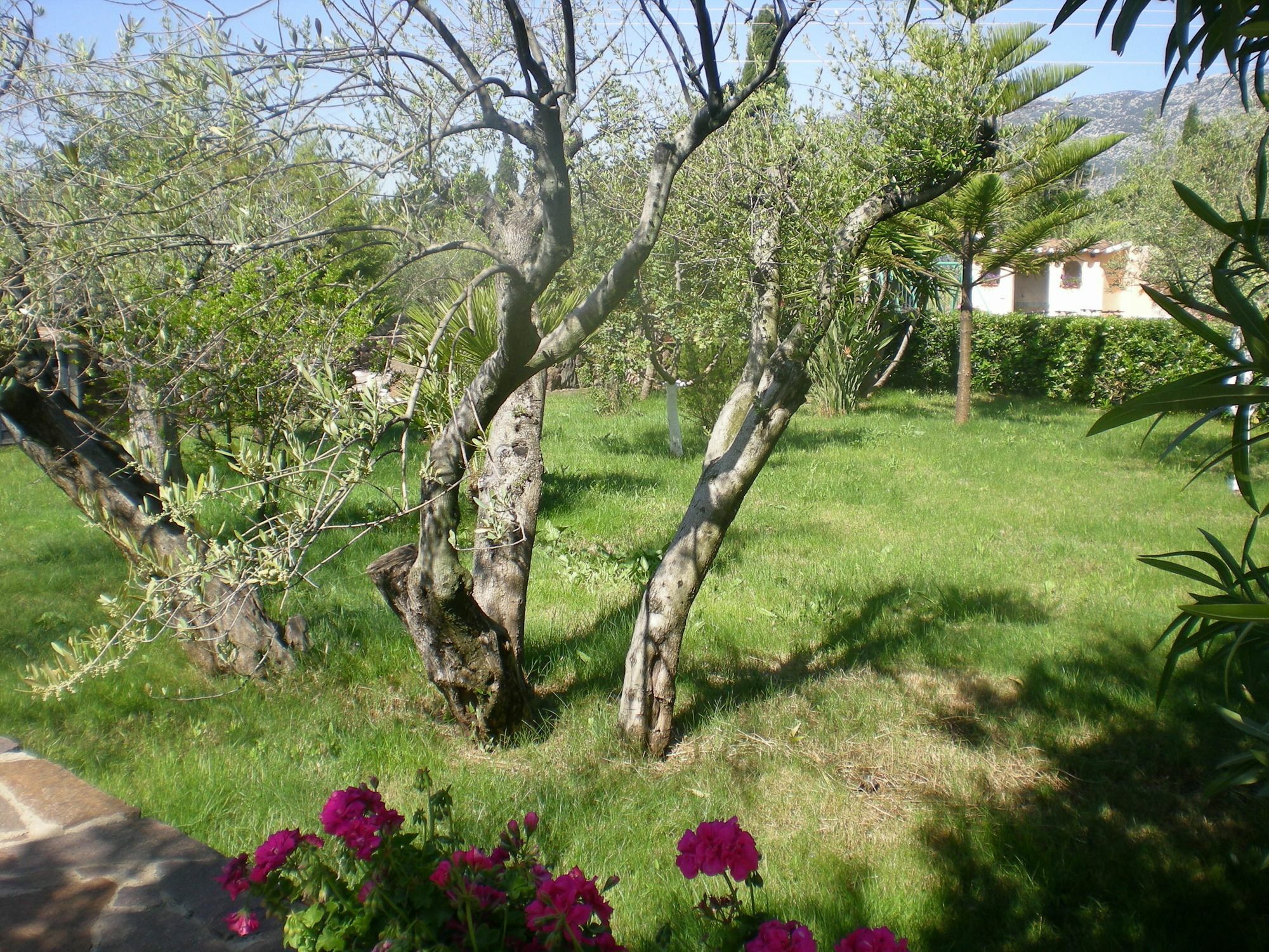 Ferienwohnung Residenza Marina Orosei Exterior foto